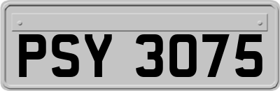 PSY3075