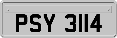 PSY3114