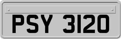PSY3120