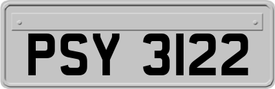PSY3122