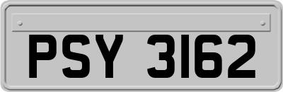 PSY3162