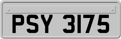 PSY3175