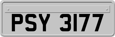 PSY3177