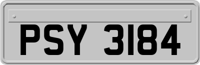 PSY3184