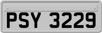 PSY3229