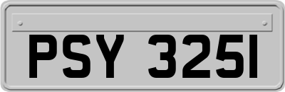 PSY3251
