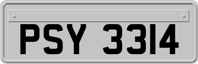 PSY3314