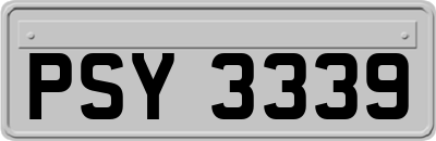 PSY3339