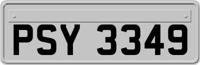 PSY3349
