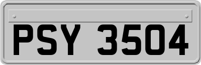 PSY3504