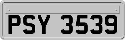 PSY3539