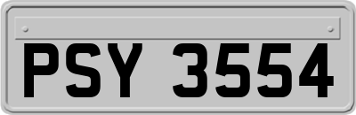 PSY3554