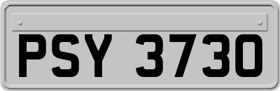 PSY3730