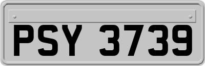 PSY3739
