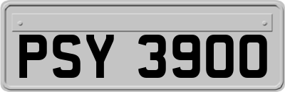 PSY3900