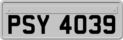 PSY4039