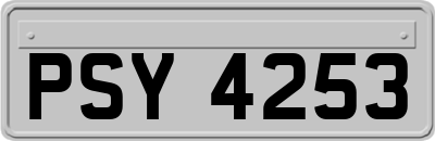 PSY4253