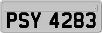 PSY4283