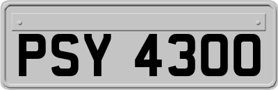 PSY4300