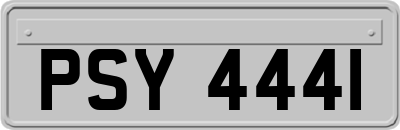 PSY4441