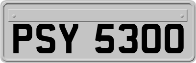 PSY5300