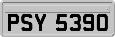 PSY5390