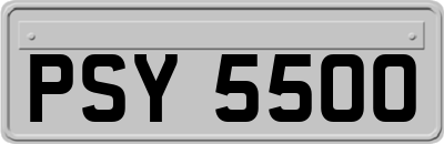 PSY5500
