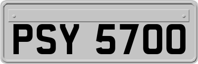 PSY5700