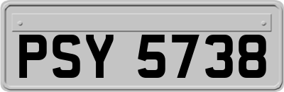 PSY5738