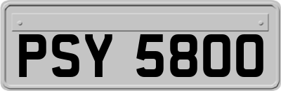 PSY5800