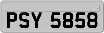 PSY5858
