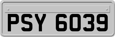 PSY6039