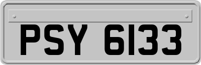 PSY6133