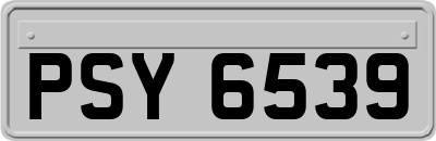 PSY6539