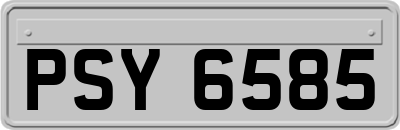 PSY6585