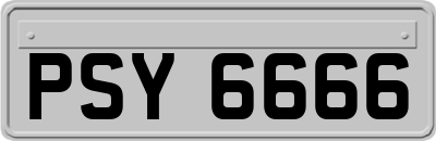 PSY6666