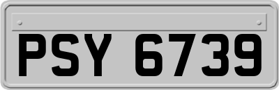 PSY6739