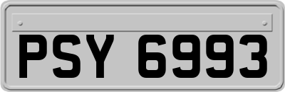 PSY6993