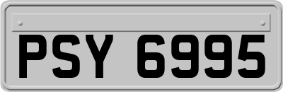PSY6995