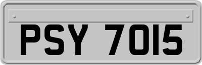 PSY7015