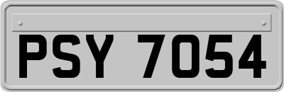 PSY7054