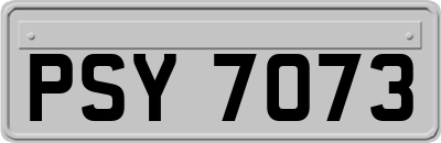 PSY7073
