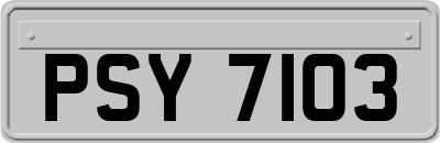 PSY7103