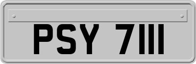 PSY7111