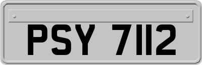 PSY7112