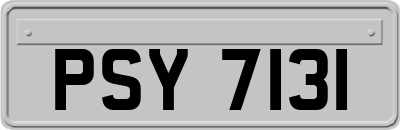 PSY7131