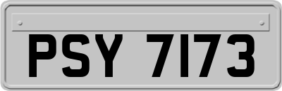 PSY7173