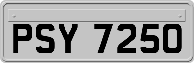 PSY7250