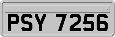 PSY7256