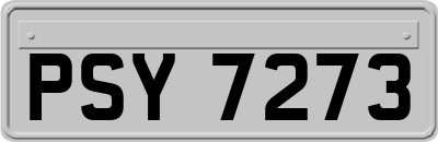 PSY7273